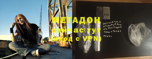 индика Новодвинск