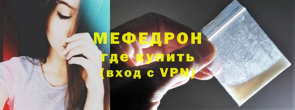 индика Новодвинск