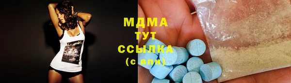 индика Новодвинск