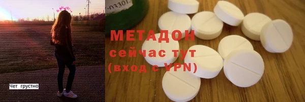 индика Новодвинск