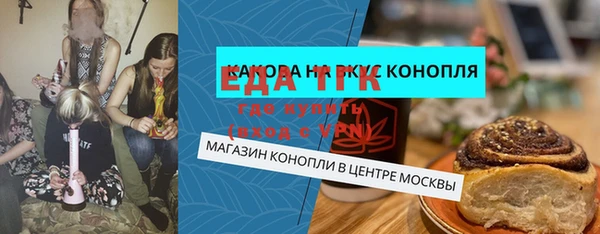 индика Новодвинск