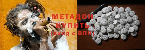 индика Новодвинск